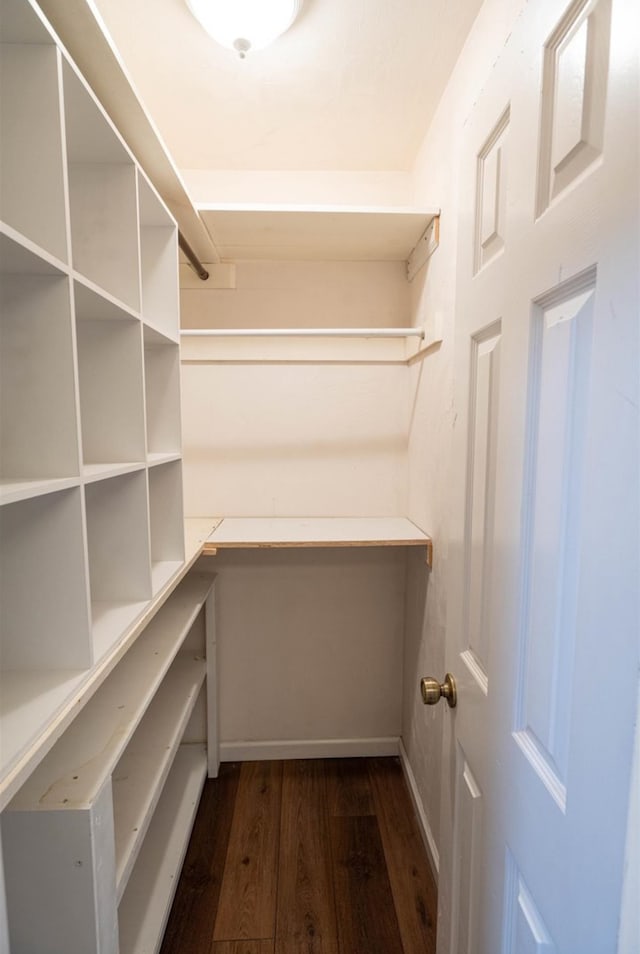 spacious closet featuring dark hardwood / wood-style floors