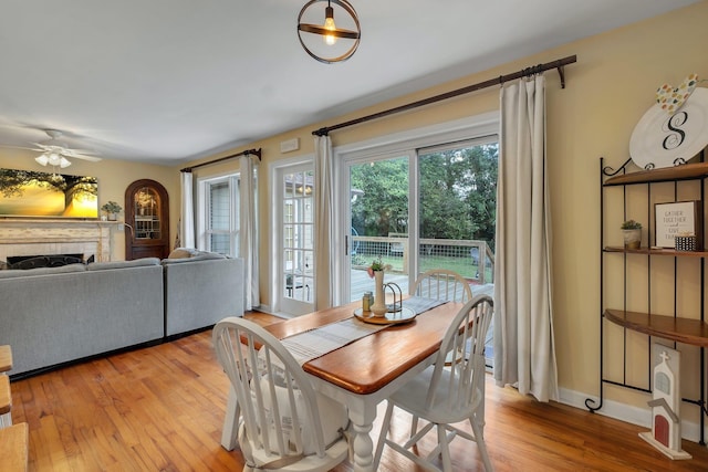 dining space with ceiling fan and light hardwood / wood-style flooring