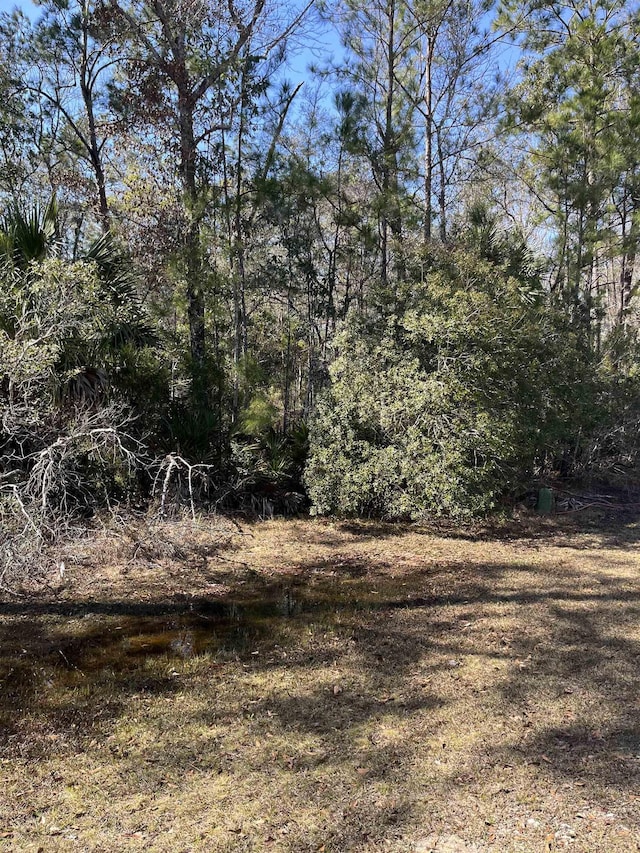 Listing photo 3 for LOT10 Burnt Pine Loop, Saint Marks FL 32355