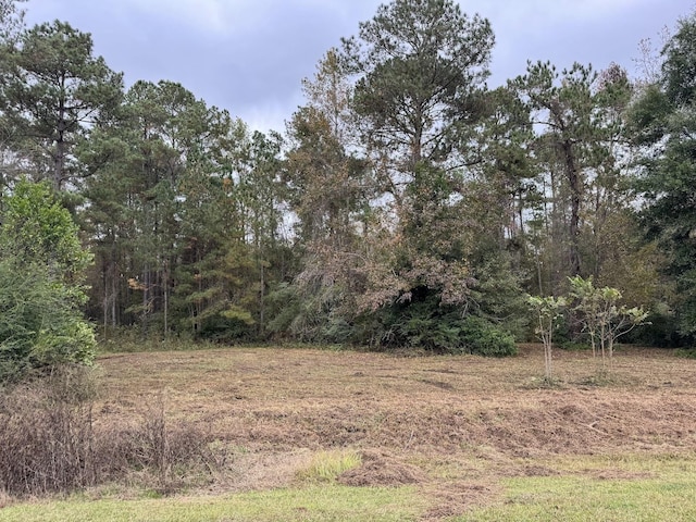 13 Raven Run, Havana, FL 32333