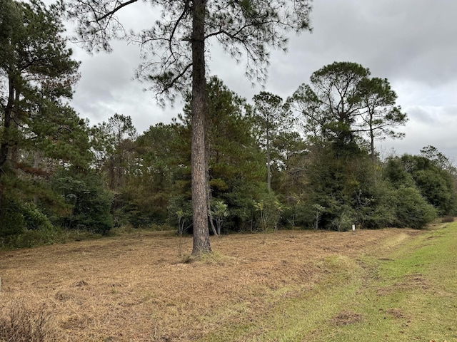 13 Raven Run, Havana, FL 32333