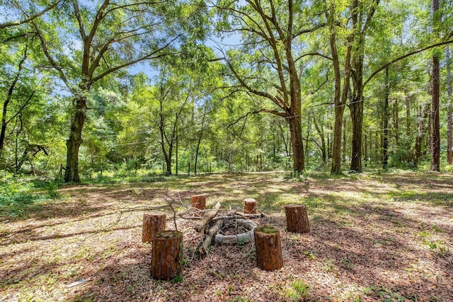 16867 Aqua Ln, Tallahassee, FL 32310 - photo 37