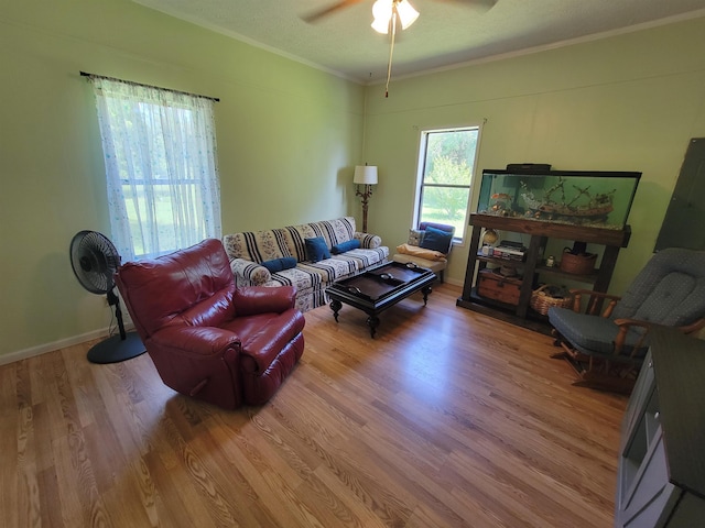 5284 Wintergreen Rd, Malone, FL 32423 - photo 3