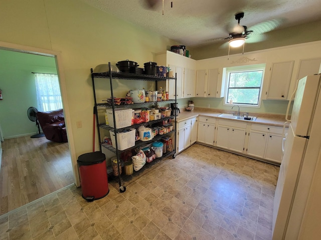5284 Wintergreen Rd, Malone, FL 32423 - photo 5