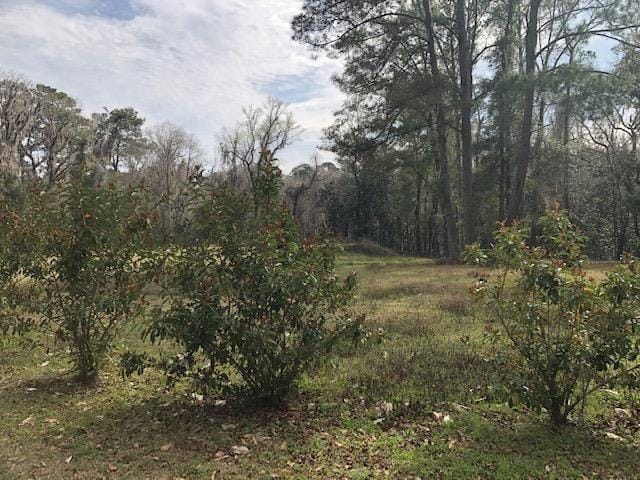 LOT16 Bellac Rd, Tallahassee, FL 32303 - photo 5