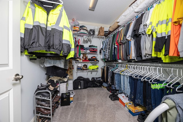 spacious closet with carpet floors