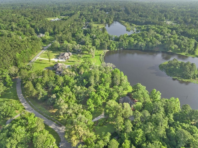 LOT14 Lanternlight Rd, Tallahassee, FL 32312 - photo 1