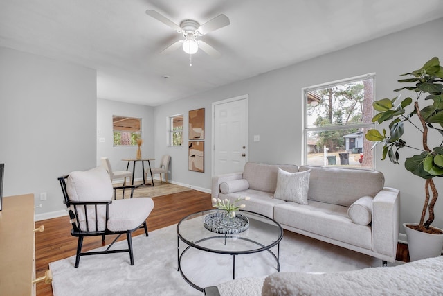 living room with ceiling fan and light wood-type flooring