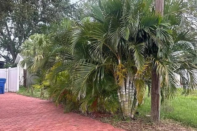 4661 NE Carson St Fl, Saint Petersburg, FL 33703 - photo 4