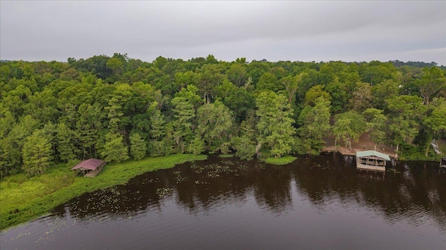 XX Williams Landing Rd, Tallahassee, FL 32310