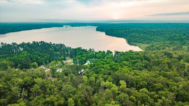 XX Williams Landing Rd, Tallahassee, FL 32310