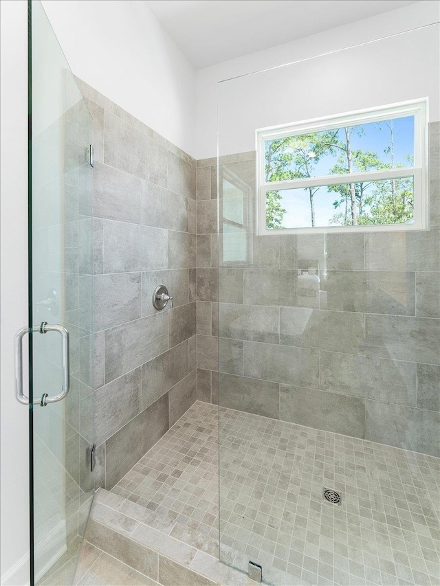 bathroom featuring a shower stall