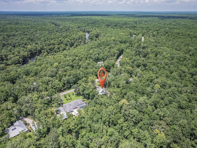 293 River Plantation Rd, Crawfordville, FL 32327 - photo 56