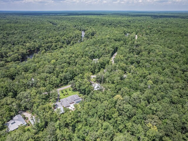 293 River Plantation Rd, Crawfordville, FL 32327 - photo 39