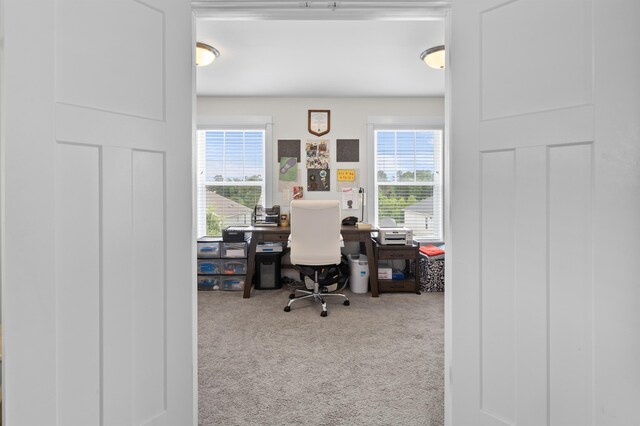 2848 Crestline Rd, Tallahassee, FL 32308 - office with carpet and plenty of natural light