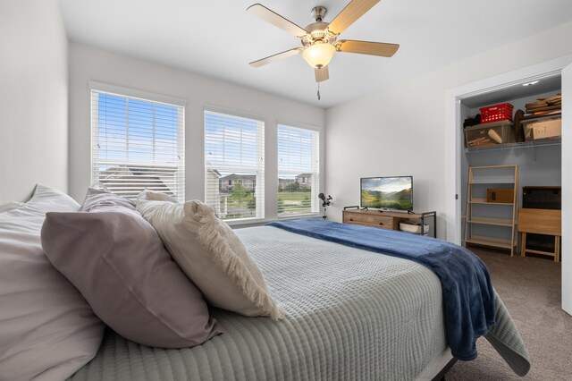 2848 Crestline Rd, Tallahassee, FL 32308 - carpeted bedroom with a walk in closet, ceiling fan, and a closet