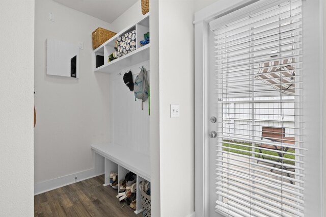 2848 Crestline Rd, Tallahassee, FL 32308 - mudroom featuring wood finished floors and healthy amount of natural light