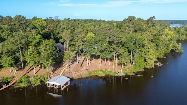 1007 Williams Landing Rd, Tallahassee, FL 32310 - photo 66