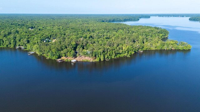 1007 Williams Landing Rd, Tallahassee, FL 32310 - photo 8