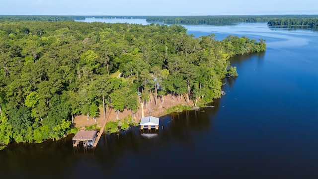 1007 Williams Landing Rd, Tallahassee, FL 32310 - photo 57