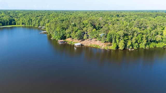 1007 Williams Landing Rd, Tallahassee, FL 32310 - photo 68