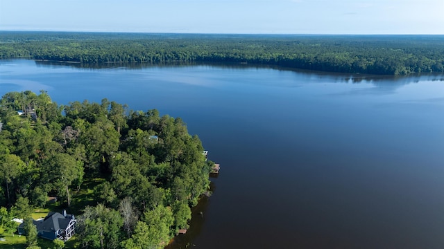1007 Williams Landing Rd, Tallahassee, FL 32310 - photo 62