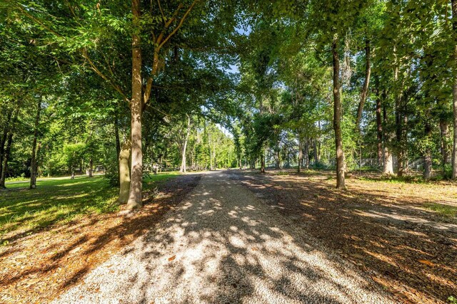 1007 Williams Landing Rd, Tallahassee, FL 32310 - photo 65