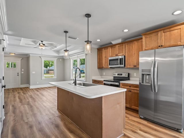 kitchen with a center island with sink, stainless steel appliances, a raised ceiling, sink, and light hardwood / wood-style flooring