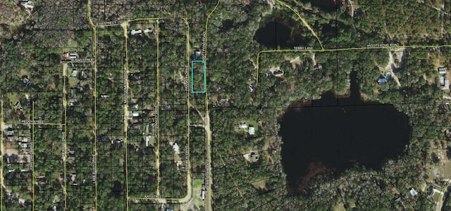 Listing photo 3 for Franklin Dr, Crawfordville FL 32327