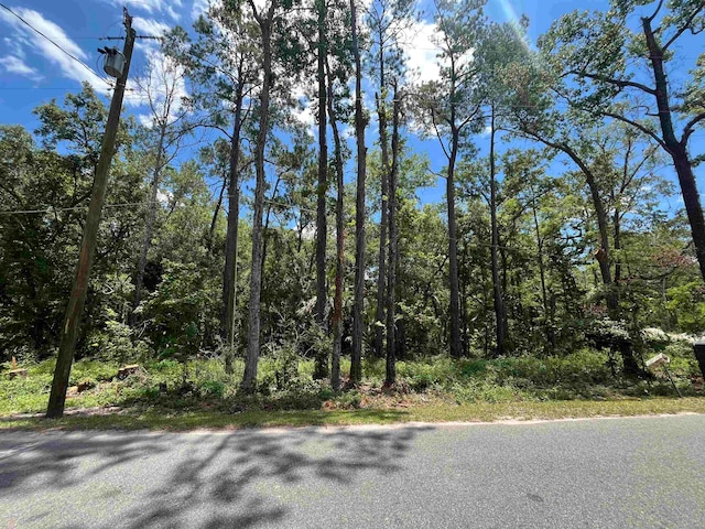 Franklin Dr, Crawfordville FL, 32327 land for sale