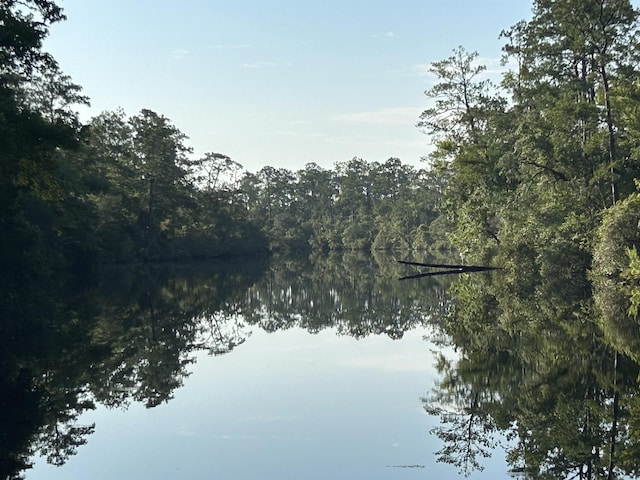 11 Green Rd, Sopchoppy, FL 32358 - photo 1