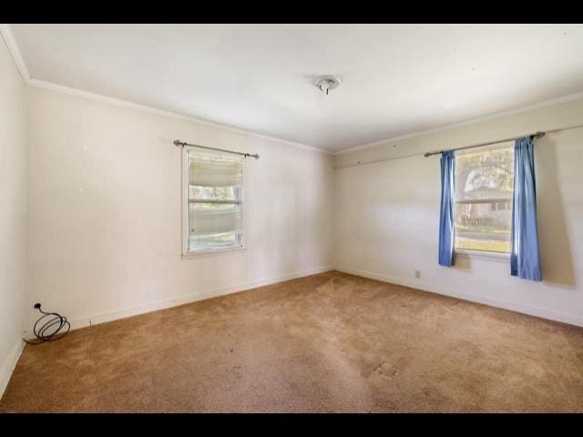 10168 NE Colin Kelly Hwy, Pinetta Madison County, FL 32350 - unfurnished room featuring ornamental molding, carpet flooring, plenty of natural light, and baseboards