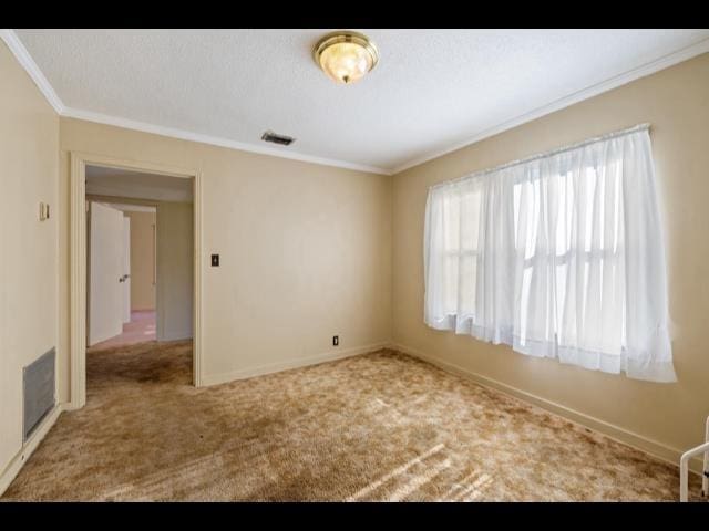 10168 NE Colin Kelly Hwy, Pinetta Madison County, FL 32350 - spare room featuring crown molding, carpet flooring, and baseboards