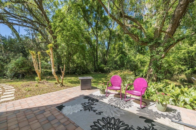 3822 Leane Dr, Tallahassee, FL 32309 - view of patio