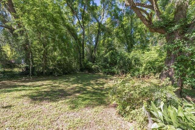 3822 Leane Dr, Tallahassee, FL 32309 - view of green lawn with a forest view