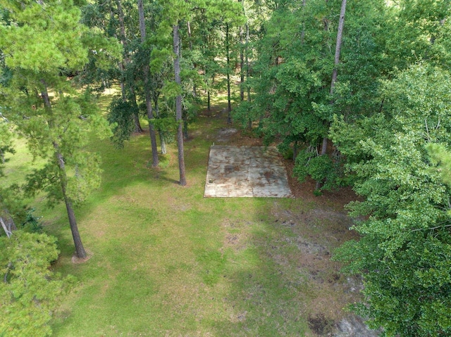 7432 Dresden Rd, Tallahassee, FL 32309 - photo 48