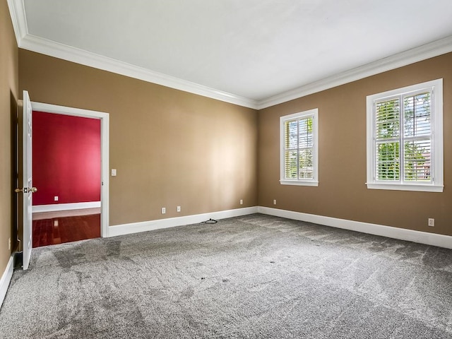 empty room with carpet flooring and ornamental molding