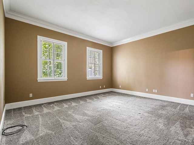 carpeted empty room with ornamental molding