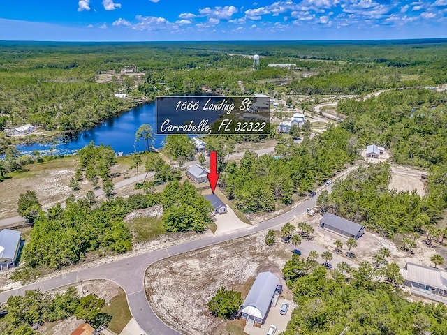 1666 Landing St, Carrabelle, FL 32322 - aerial view of a forest and a nearby body of water