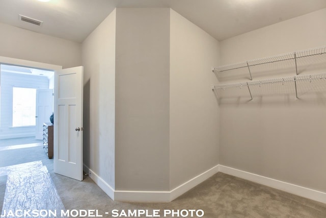 spacious closet with carpet