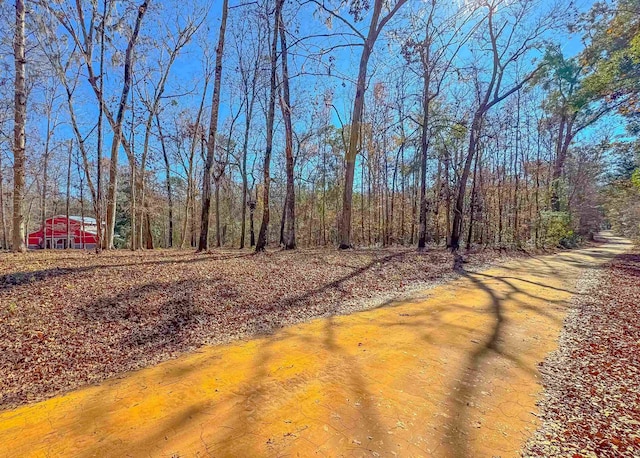 view of road