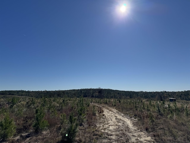 Aspalaga Rd, Chattahoochee FL, 32324 land for sale