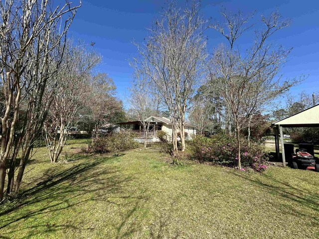 1715 Homewood Rd, Tallahassee, FL 32303 - photo 9