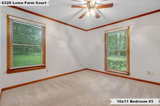 6320 Loma Farm Ct, Tallahassee, FL 32309 - photo 21