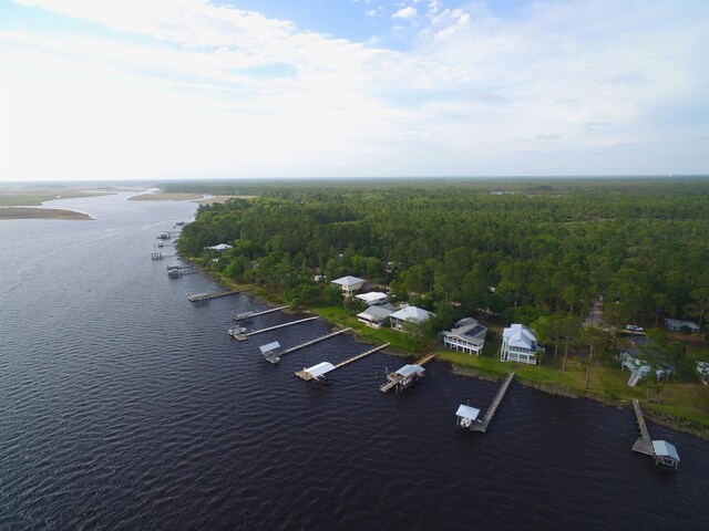 134 River Dr, Panacea, FL 32346