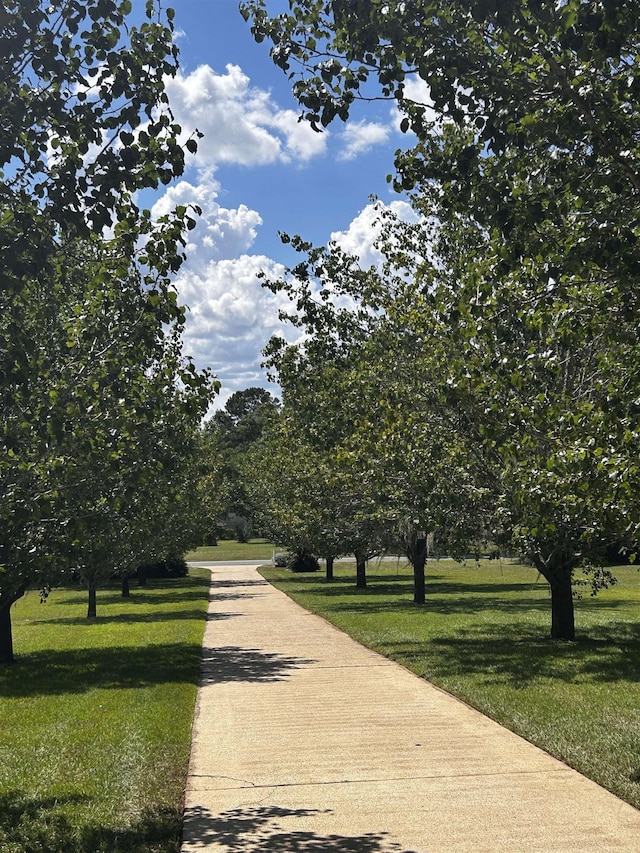 surrounding community with a yard