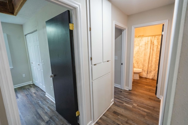 corridor featuring dark wood-type flooring