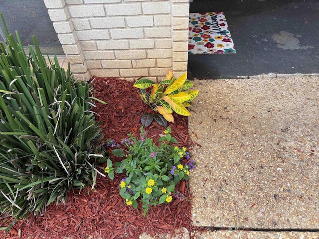 2020 Continental Ave Unit 120, Tallahassee, FL 32304 - exterior view