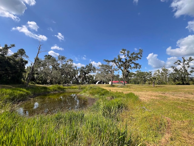 2048 W Gas Plant Rd, Perry, FL 32347 - view of undeveloped land