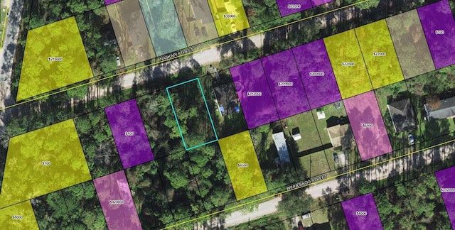 XXX Naskapi St, Crawfordville FL, 32327 land for sale